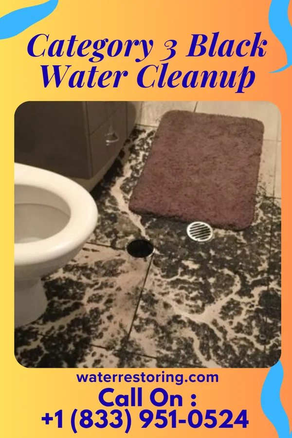 Category 3 Black Water Cleanup in Albuquerque, NM